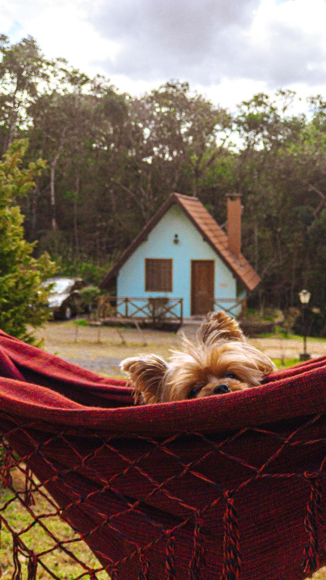 Pousada Vila Lubia - Chales Monte Verde Monte Verde  Eksteriør bilde